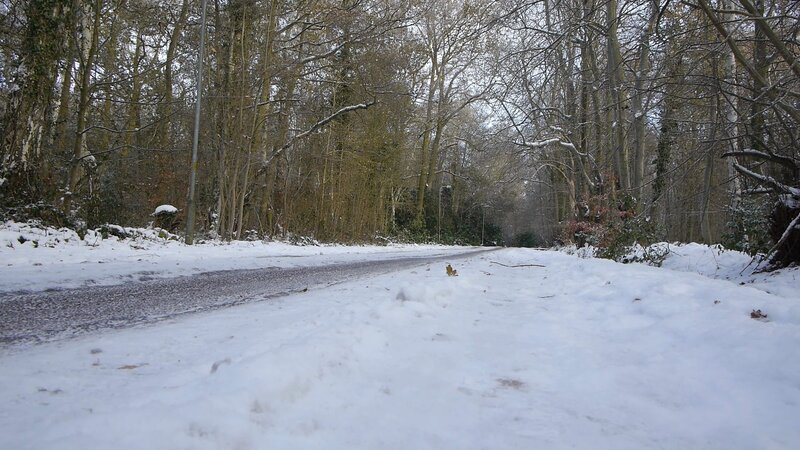 Snowy road in a forest