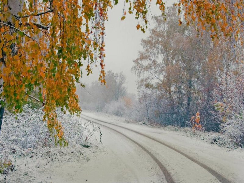 Snowy road in autumn forest