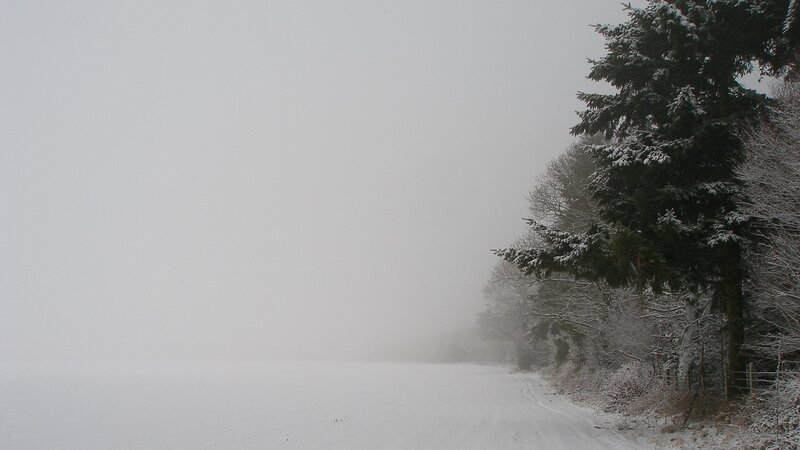 Snowy road in foggy forest