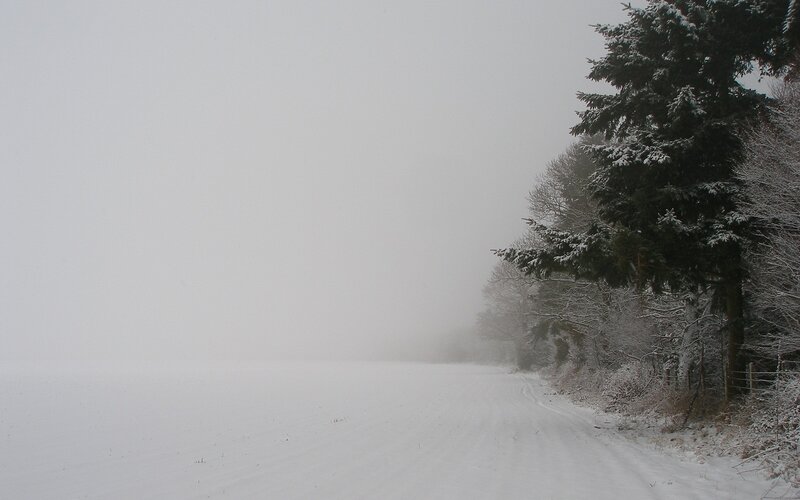 Snowy road in foggy forest