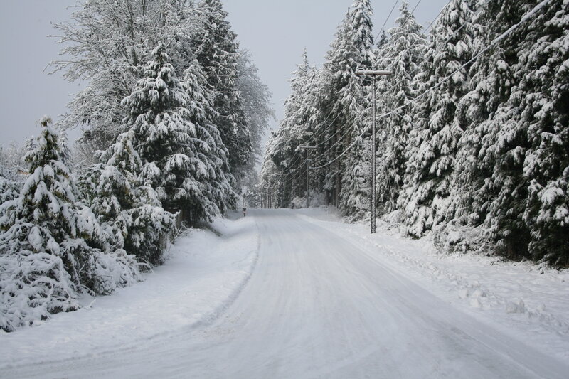 Snowy road in forest
