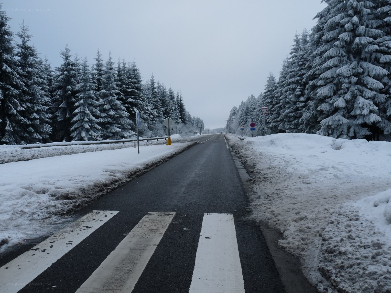 Snowy road in forest