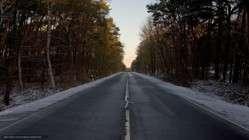 Snowy Road in Forest — Black