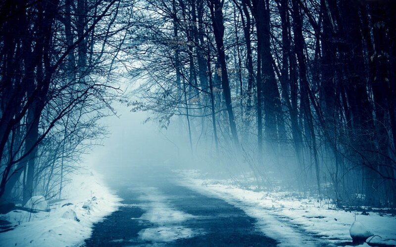 Snowy Road in Forest — Blue, Mysterious