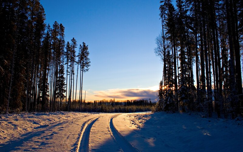 Snowy Road in Forest — Blue, Serene