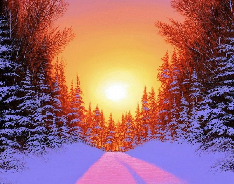 Snowy Road in Forest — Orange, Serene
