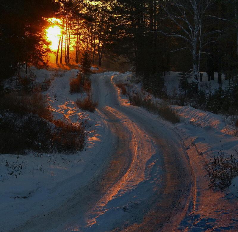 Snowy Road in Forest — Orange