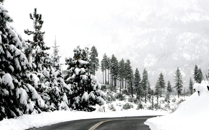Snowy road in forest