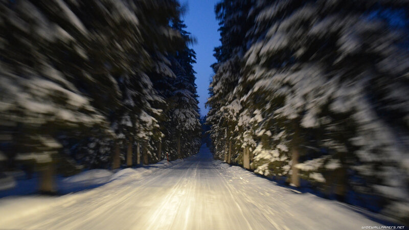 Snowy Road in Forest — White, Serene, Night