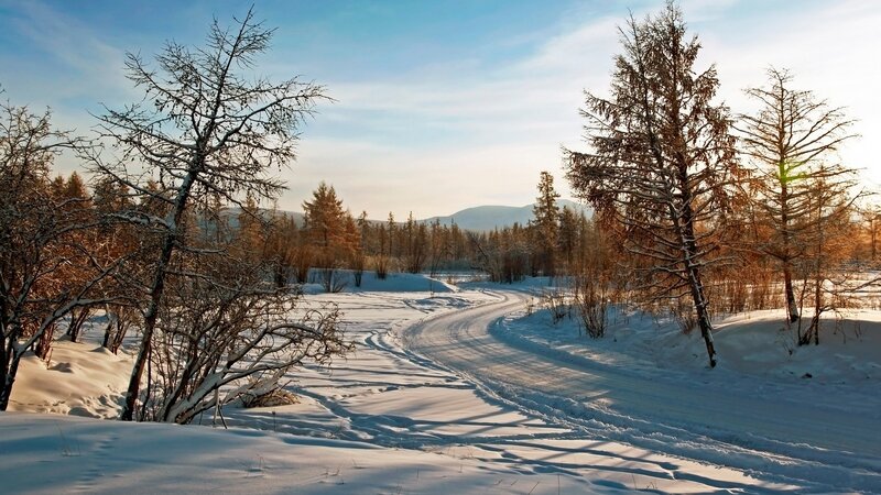 Snowy Road in Forest — White, Serene, Winter, Photograph, Trees, Mountains, Sunlight, Blue
