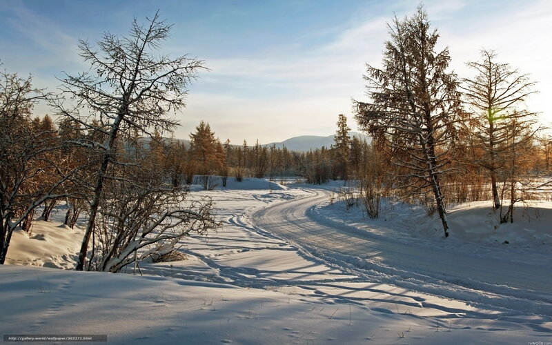 Snowy Road in Forest — White, Serene, Winter, Photograph, Trees, Mountains, Sunlight