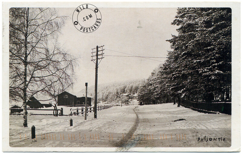 Snowy Road in Puijon tie