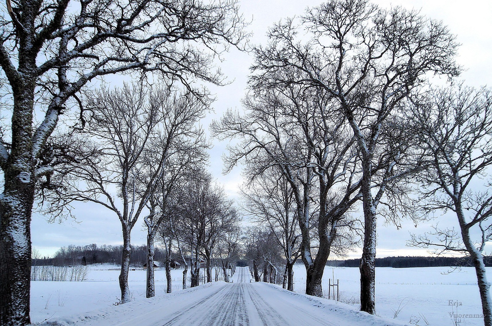Snowy road in winter