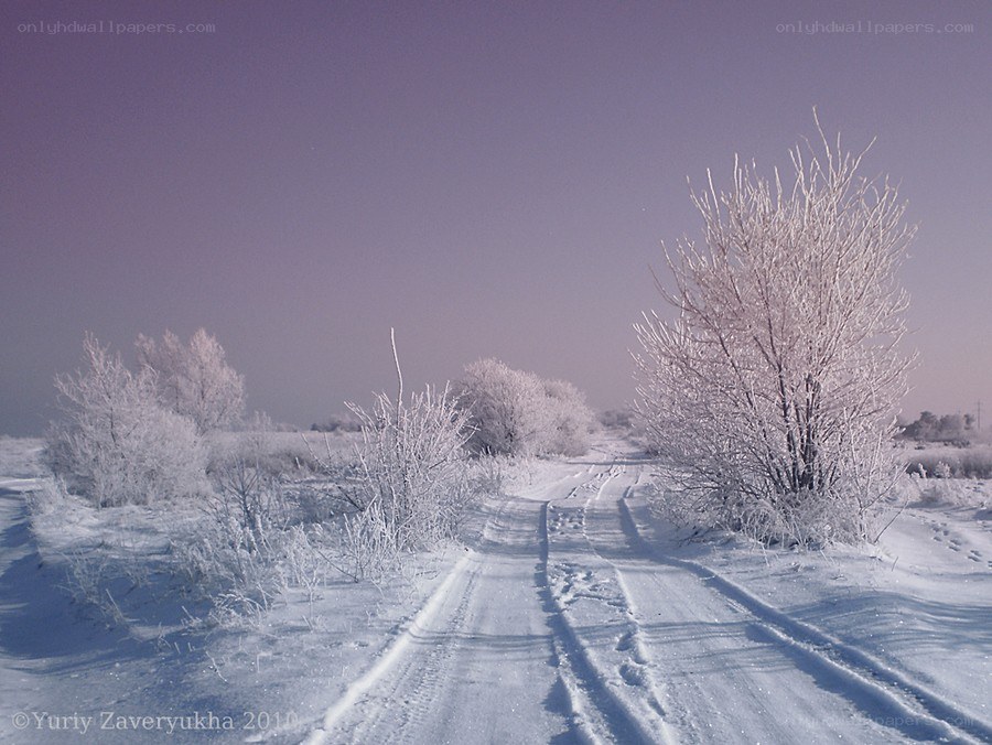 Snowy road in winter