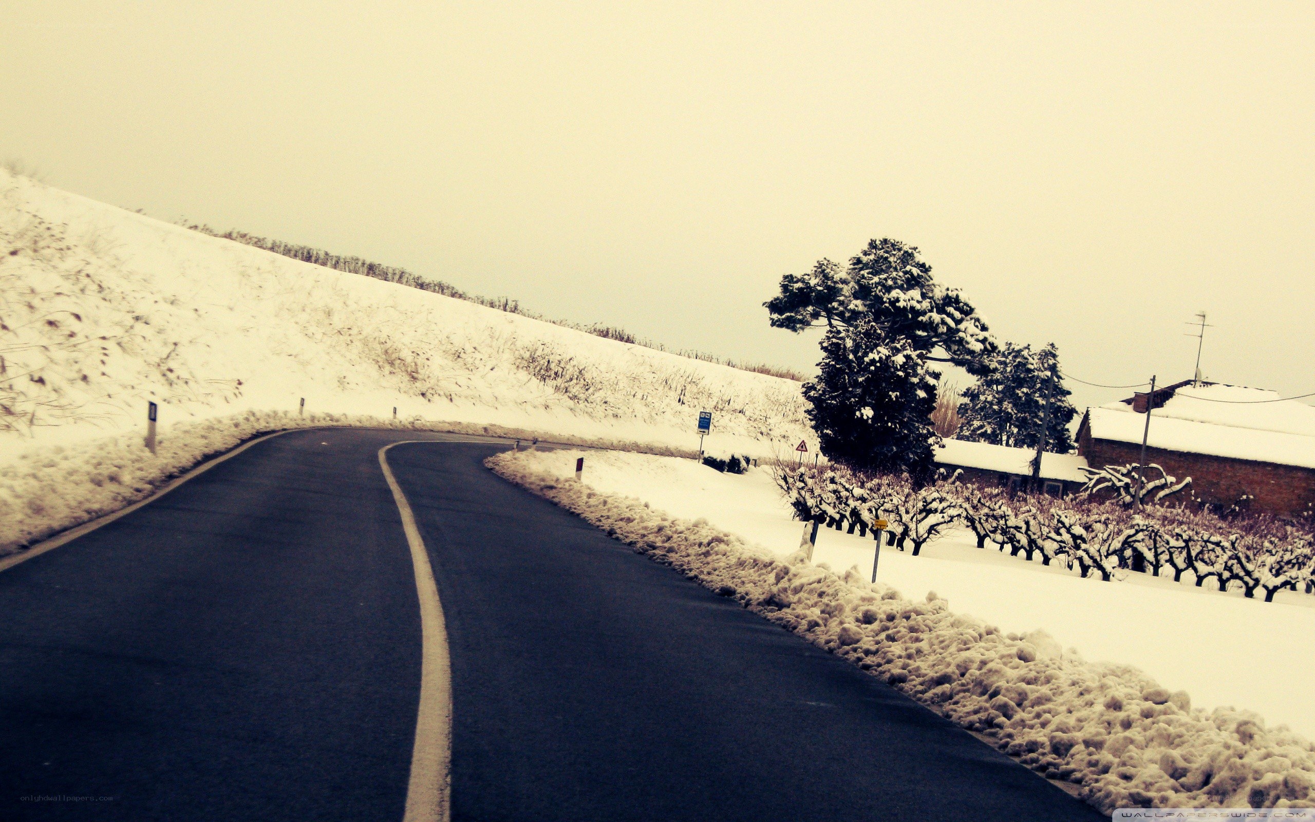 Snowy road in winter