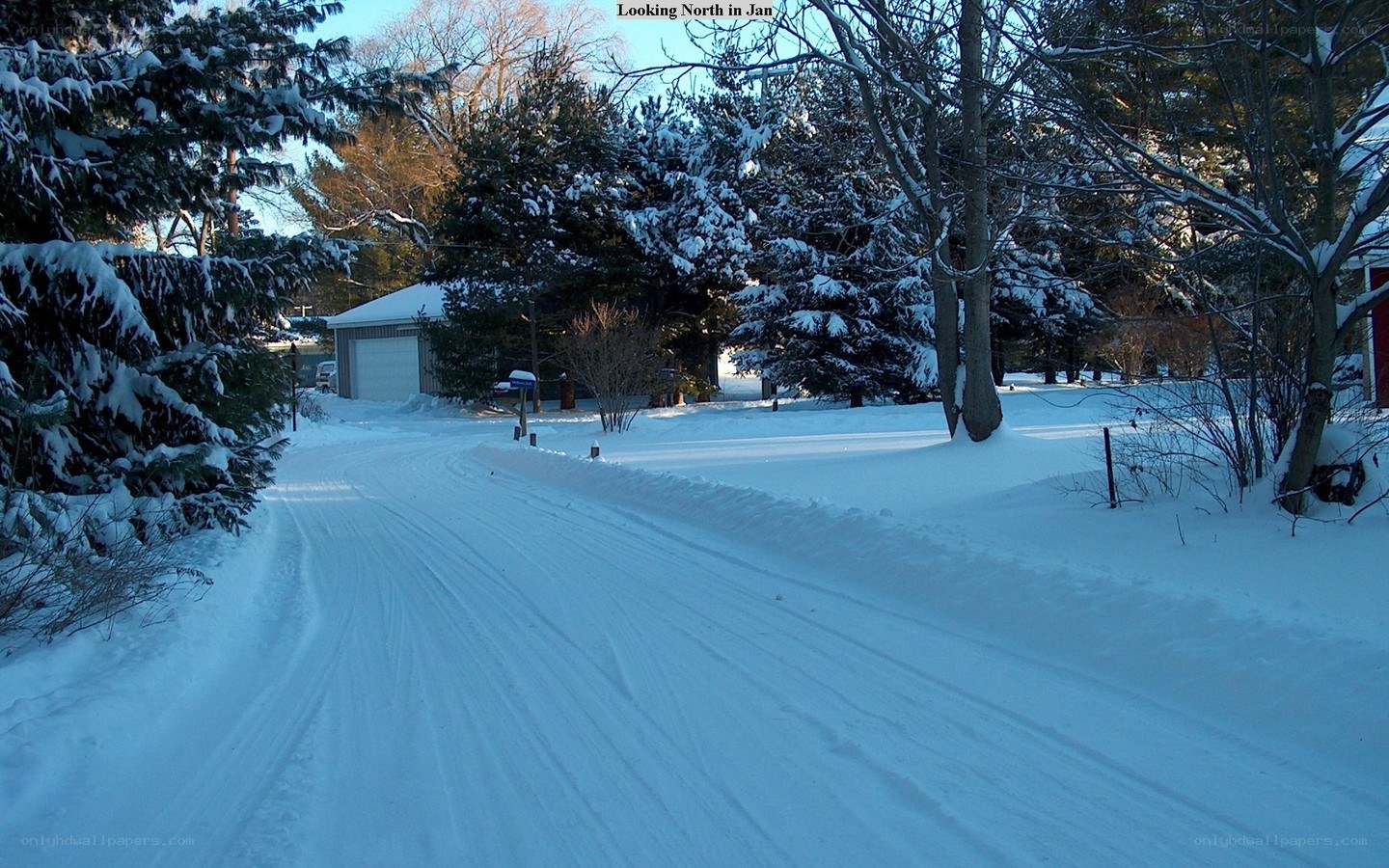 Snowy road in winter
