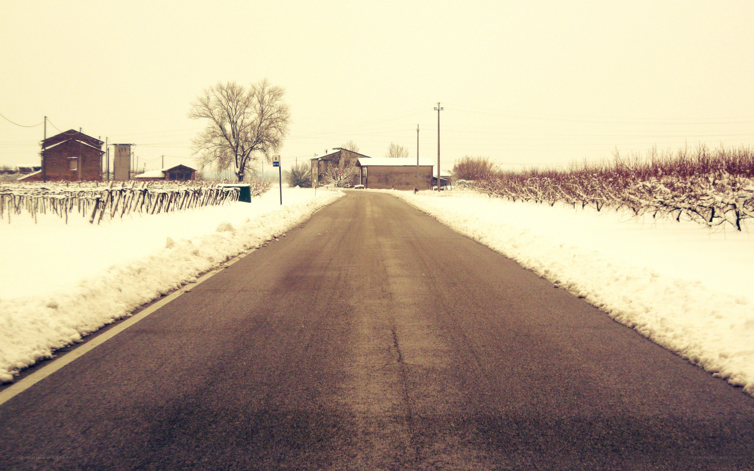 snowy road in winter