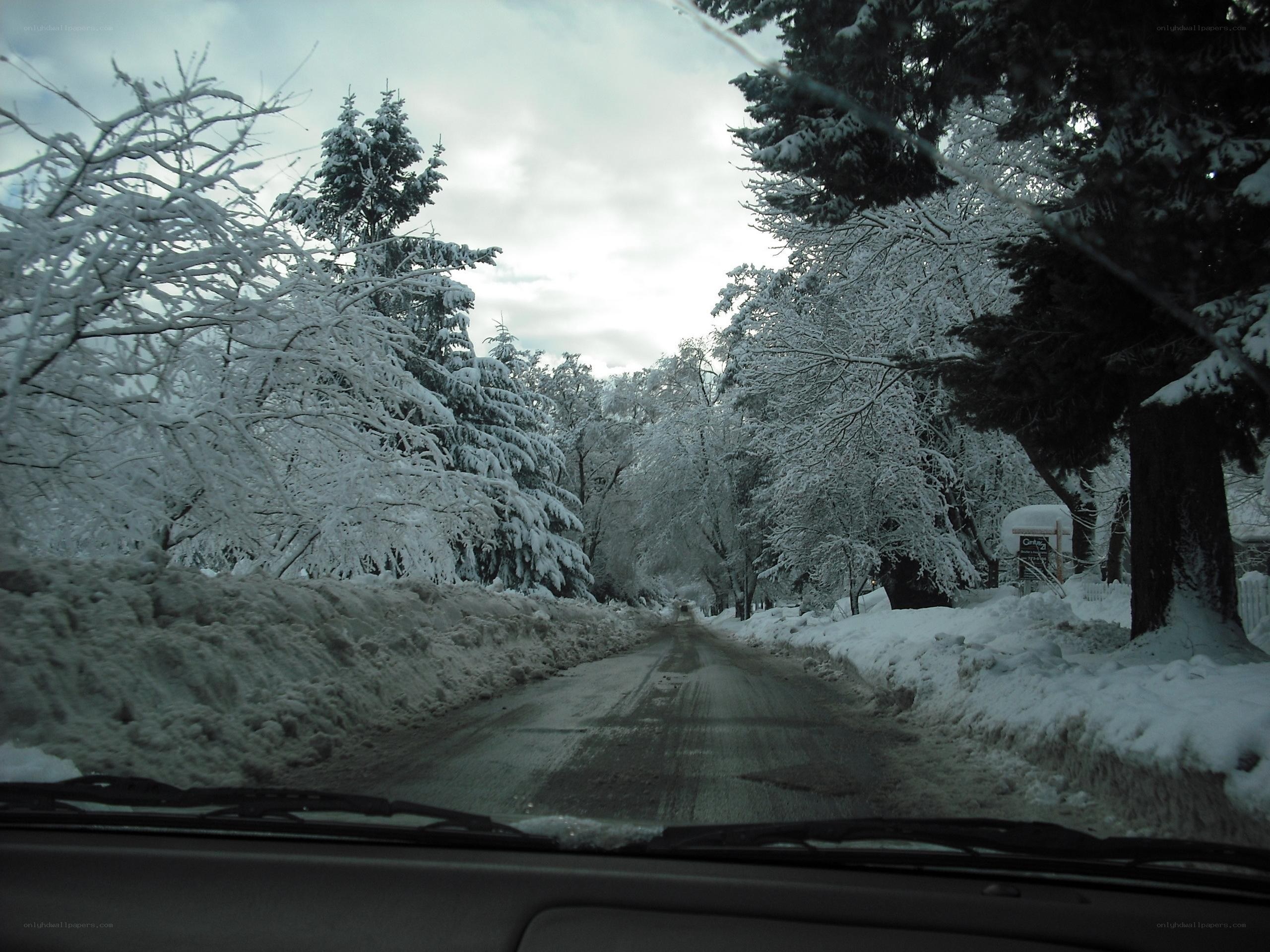 snowy road in winter