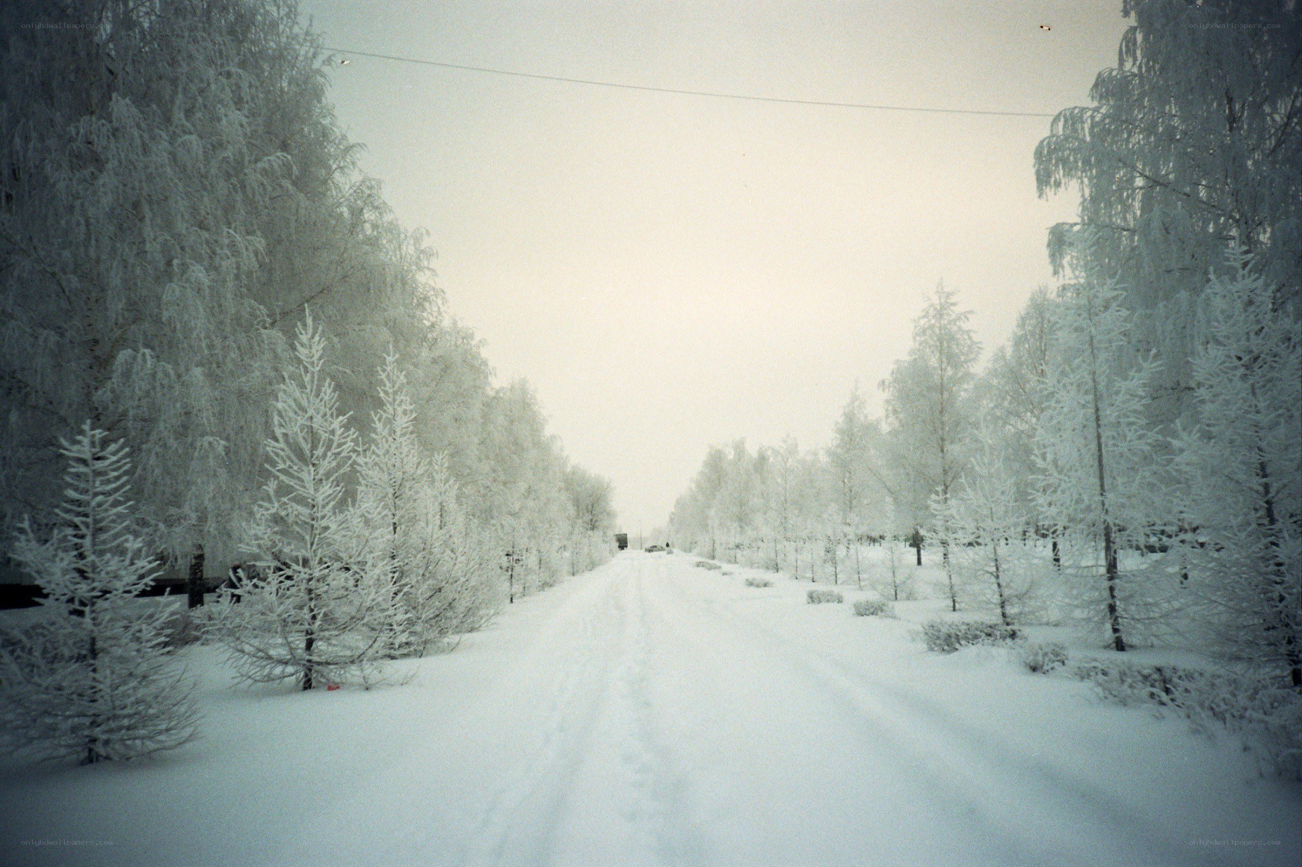 snowy road in winter