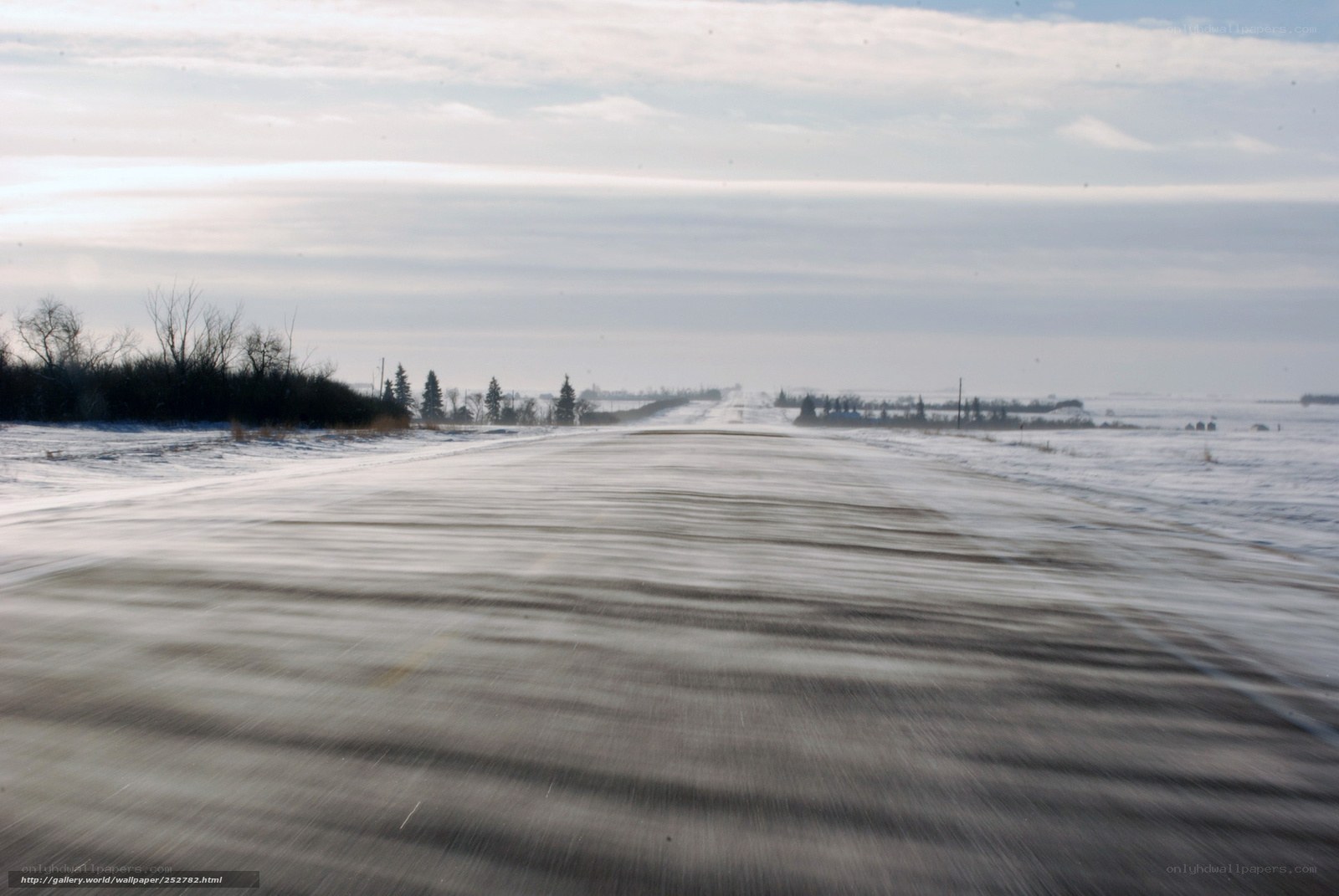 snowy road in winter