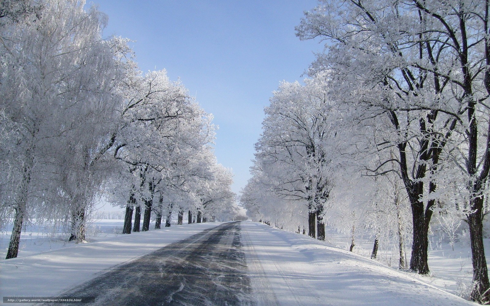 Snowy Road in Winter