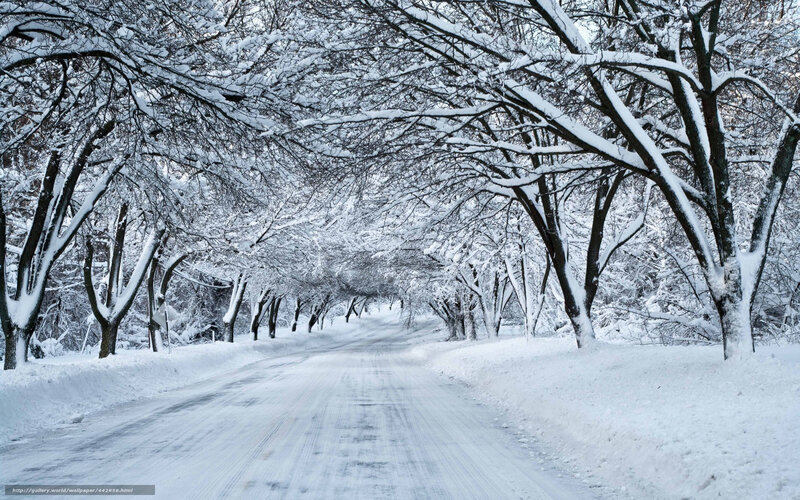 Snowy Road in Winter