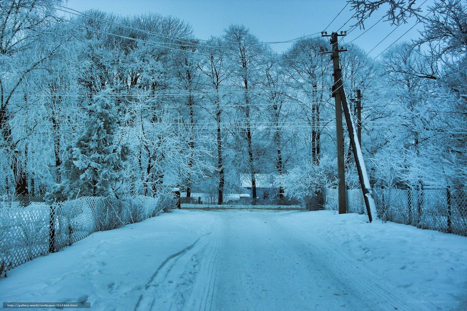 Snowy road in winter