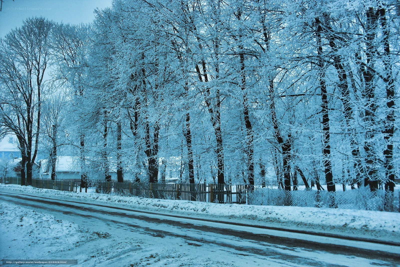 Snowy Road in Winter