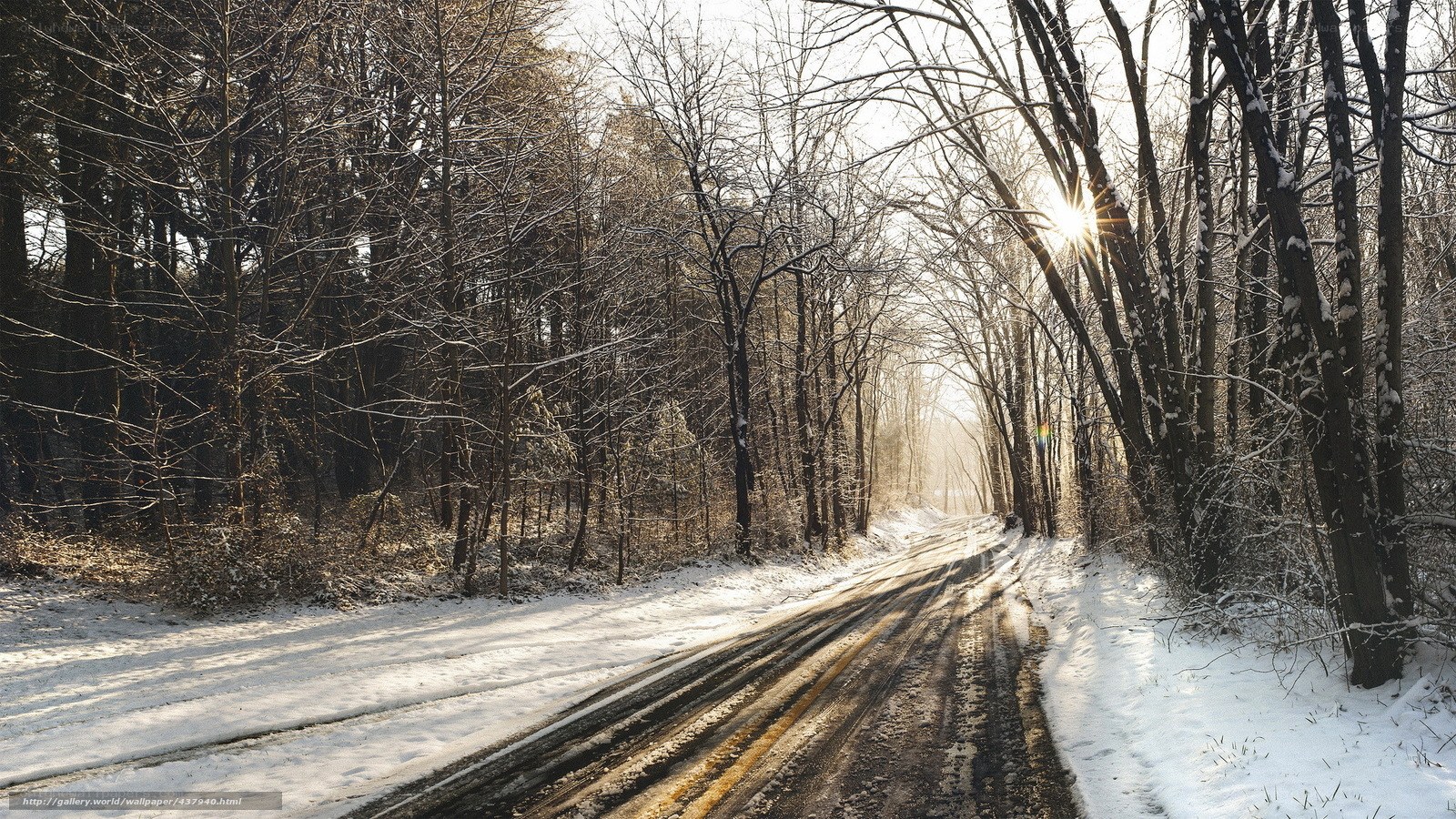 Snowy Road in Winter Forest