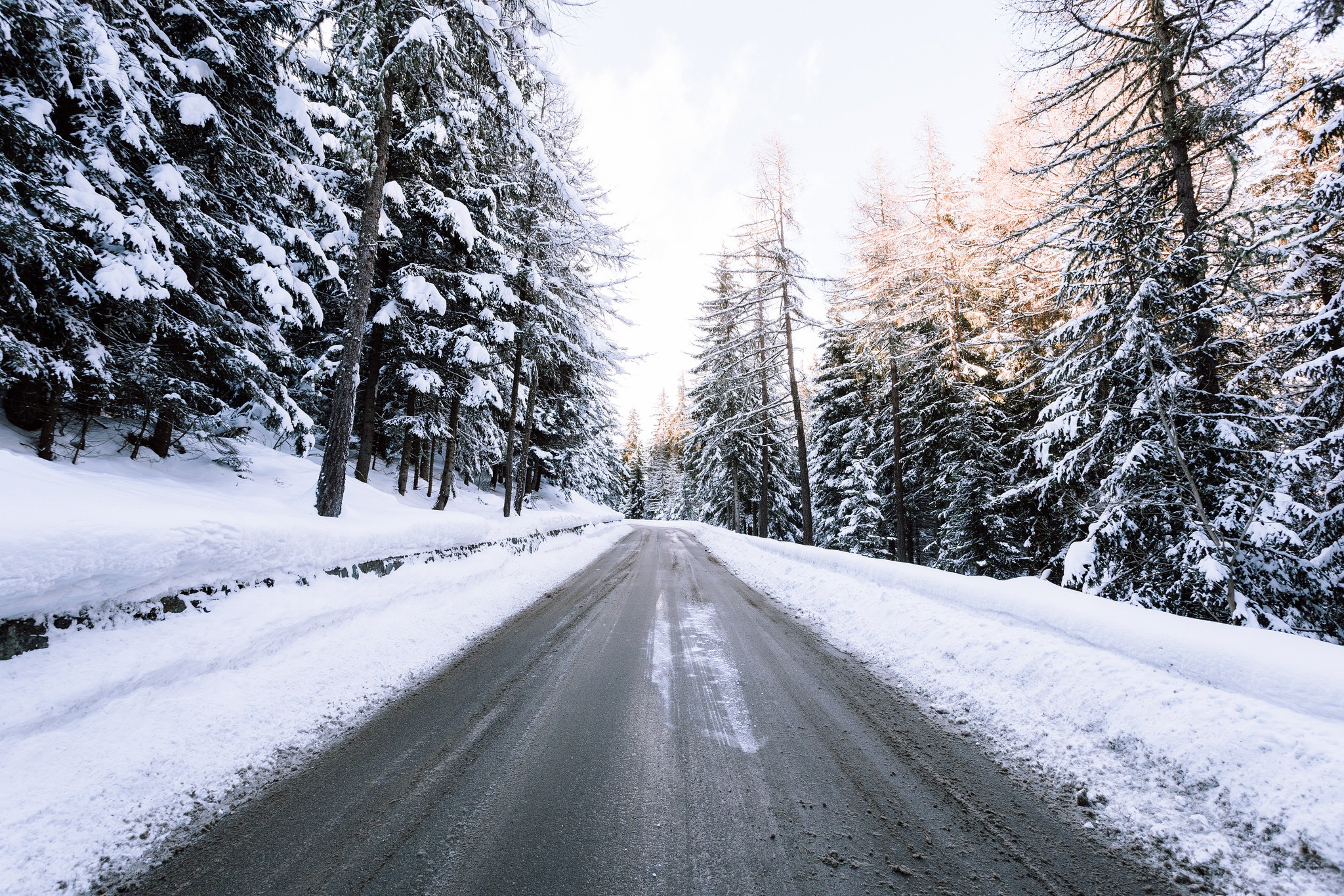 Snowy road in winter forest