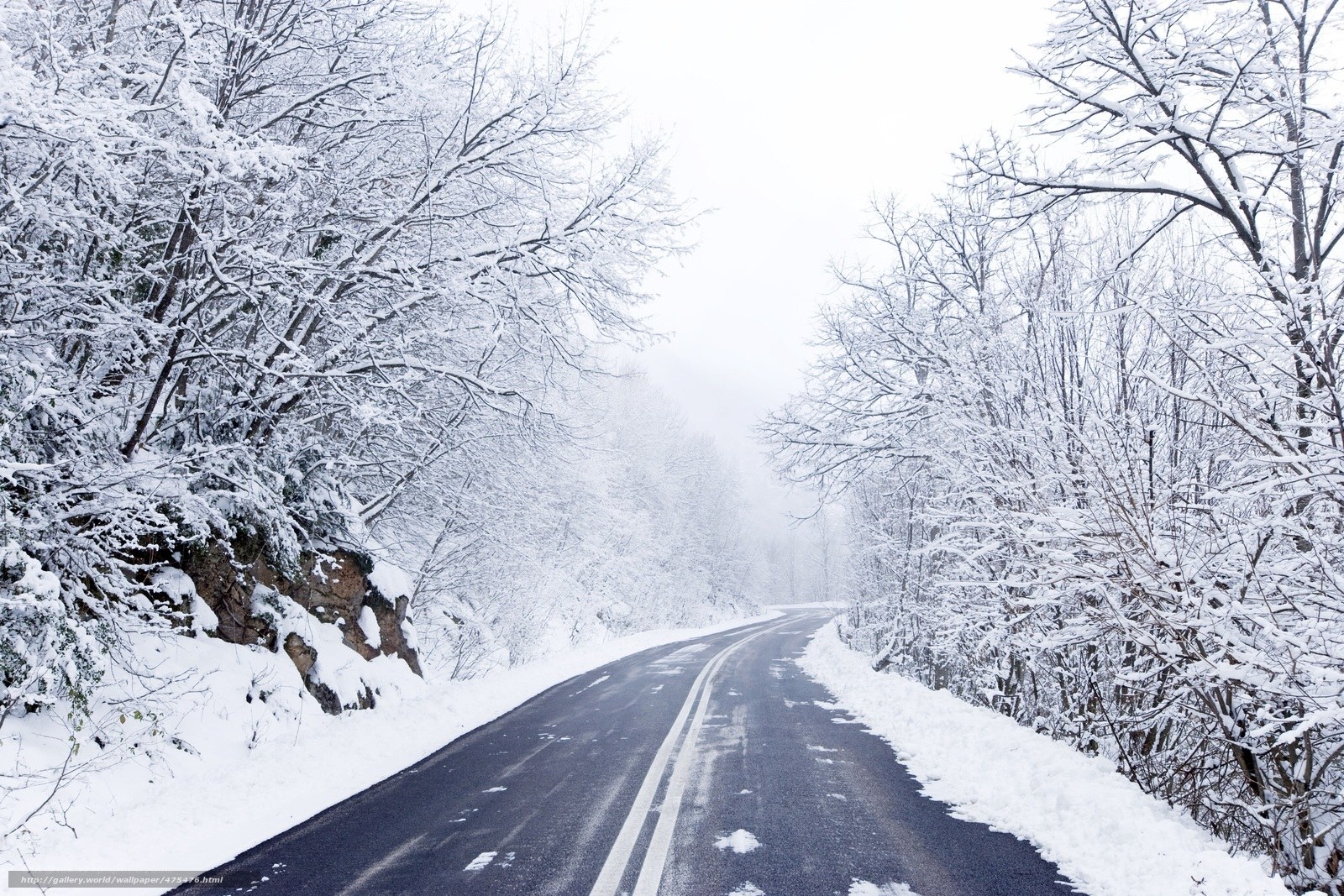 Snowy road in winter forest