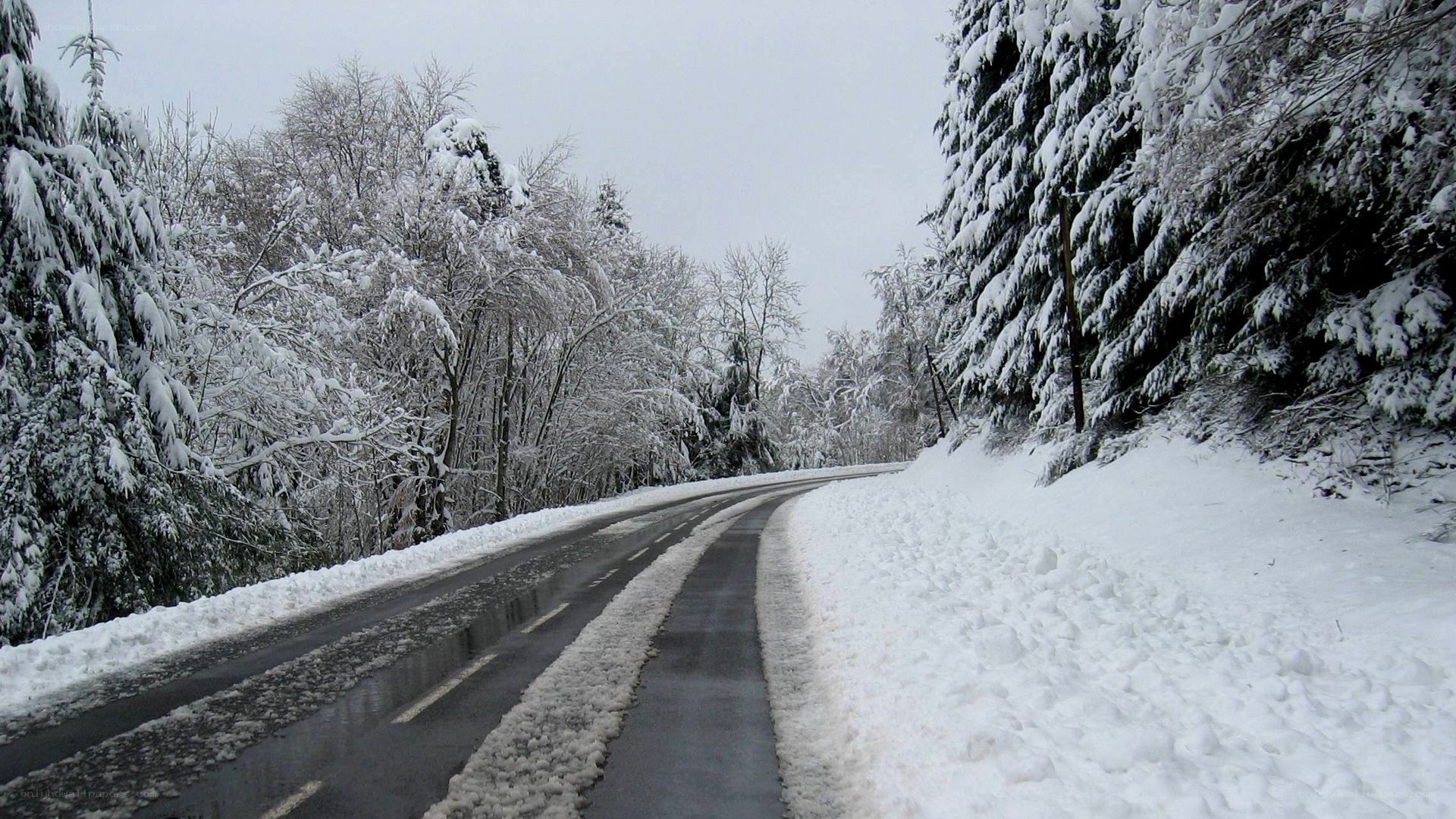 Snowy road in winter forest