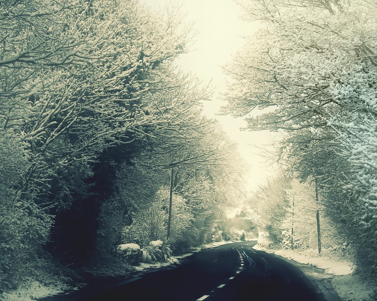 Snowy road in winter forest