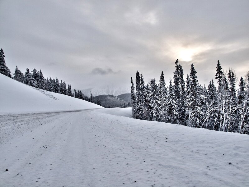 Snowy road in winter forest