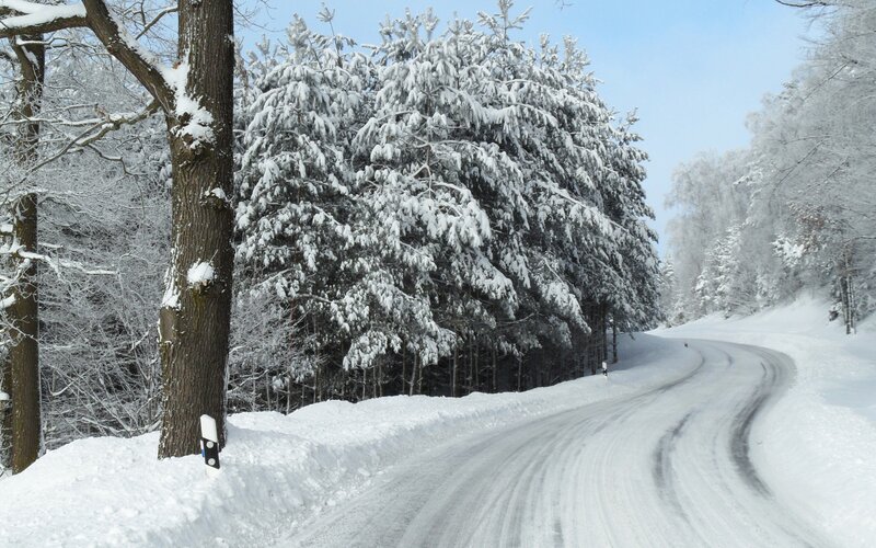 Snowy road in winter forest