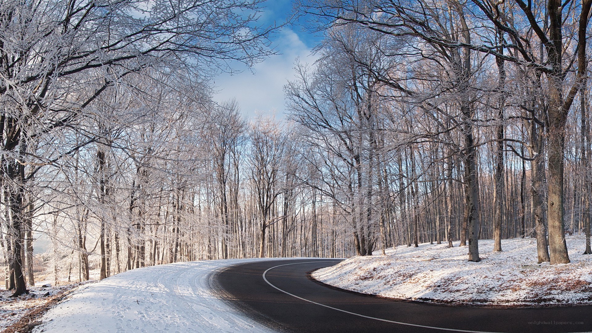 Snowy road in winter forest