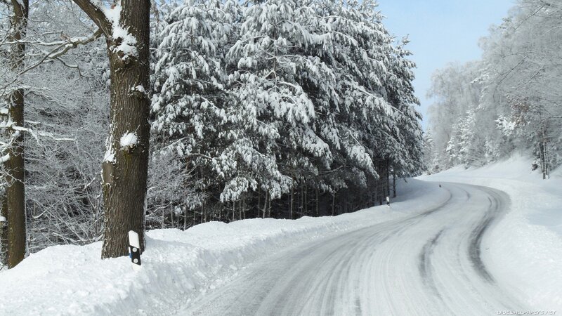 Snowy road in winter forest
