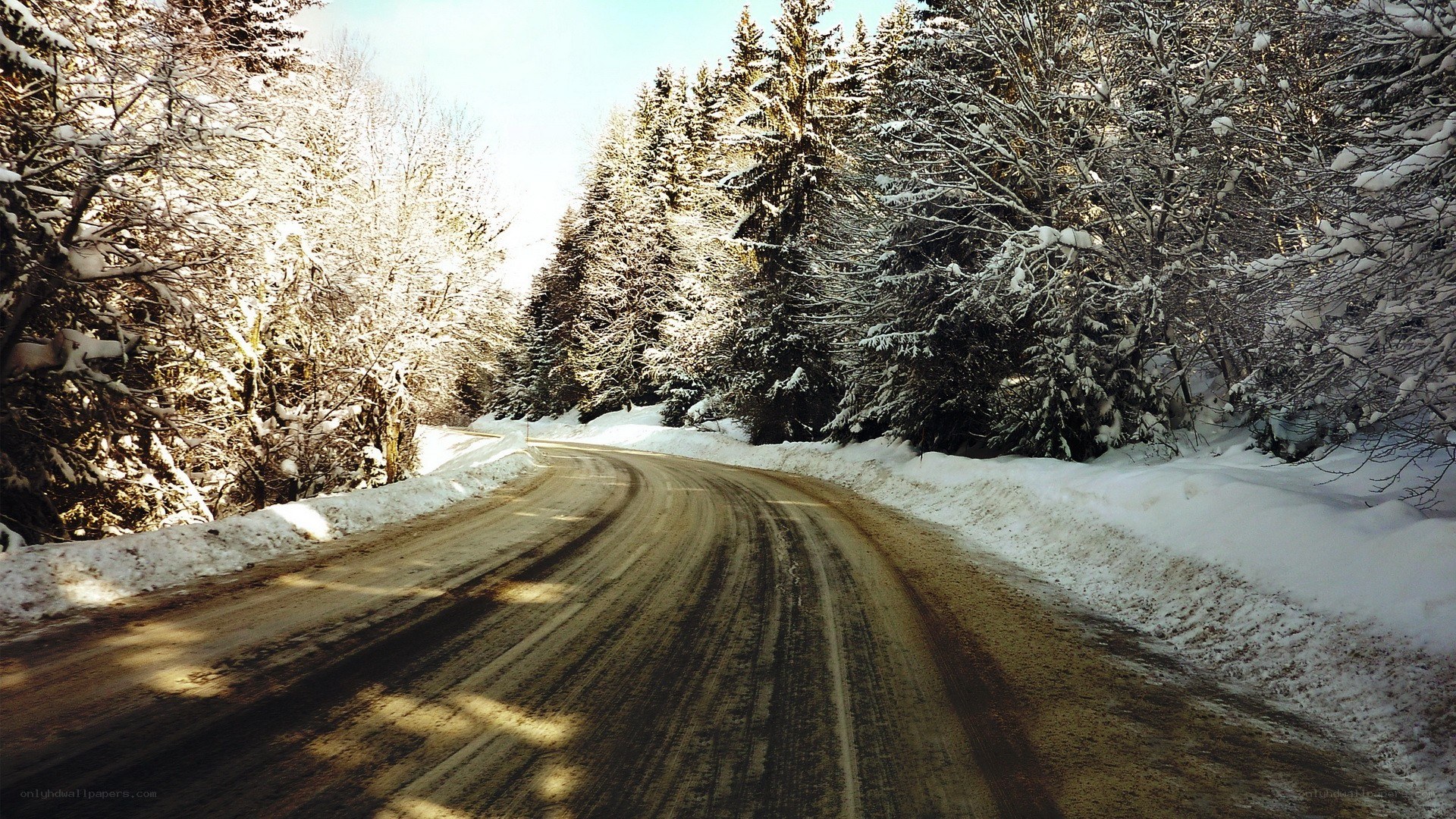 Snowy road in winter forest