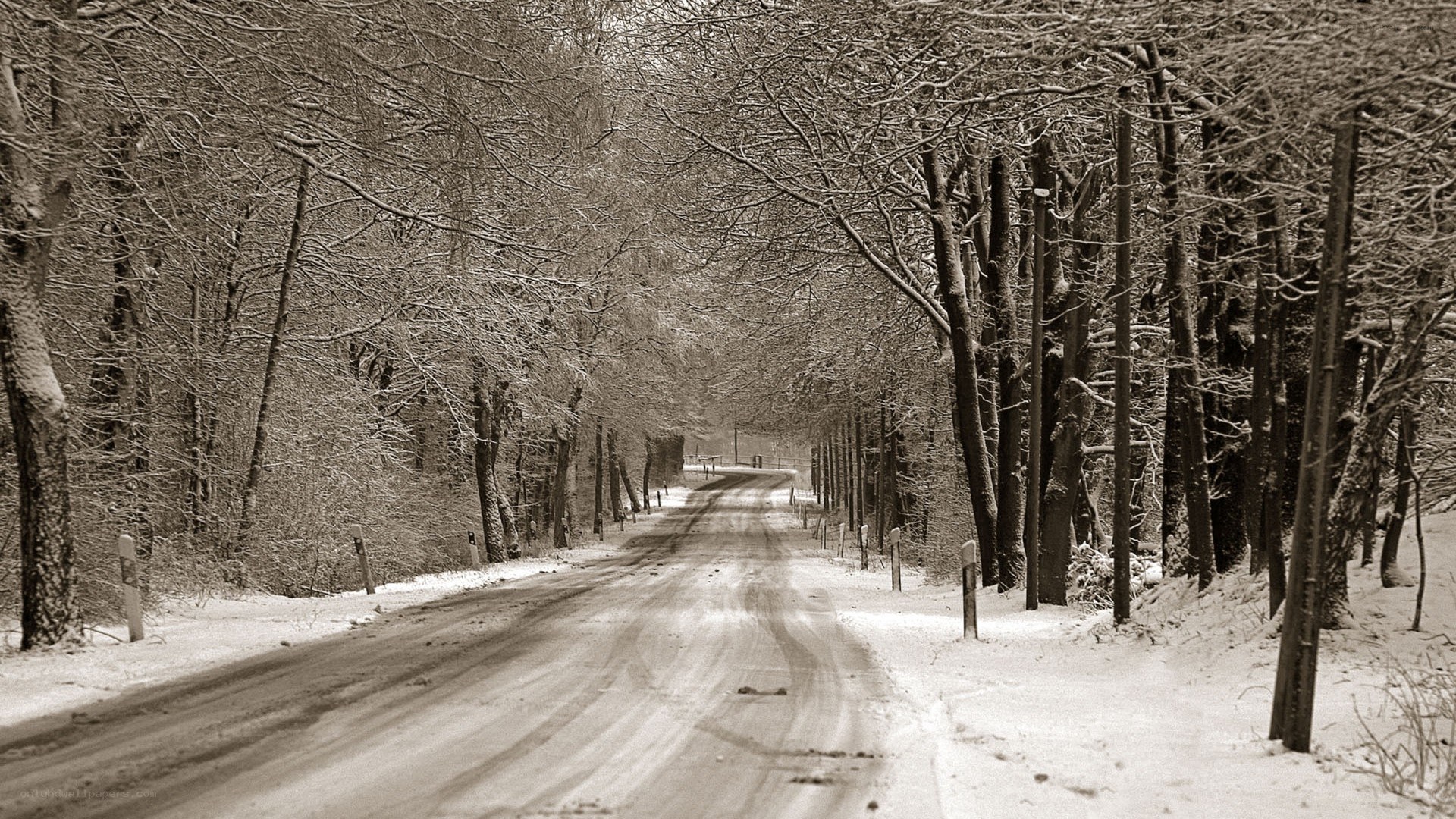Snowy road in winter forest