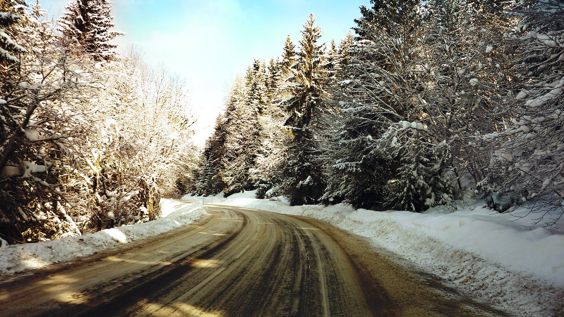 Snowy road in winter forest