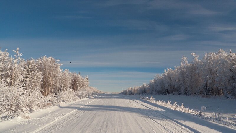 Snowy road in winter forest