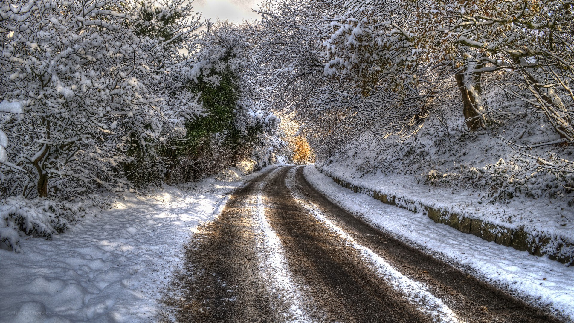 Snowy road in winter forest