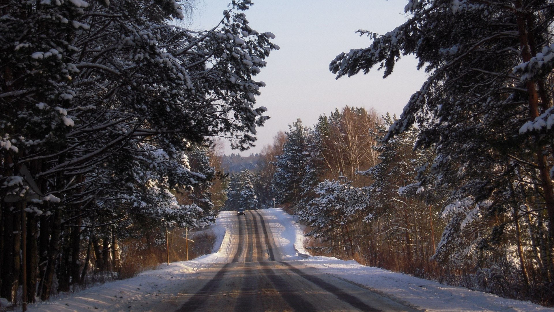 Snowy road in winter forest