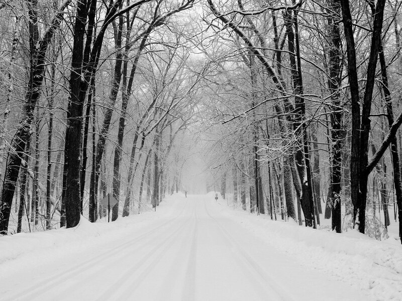 Snowy road in winter forest