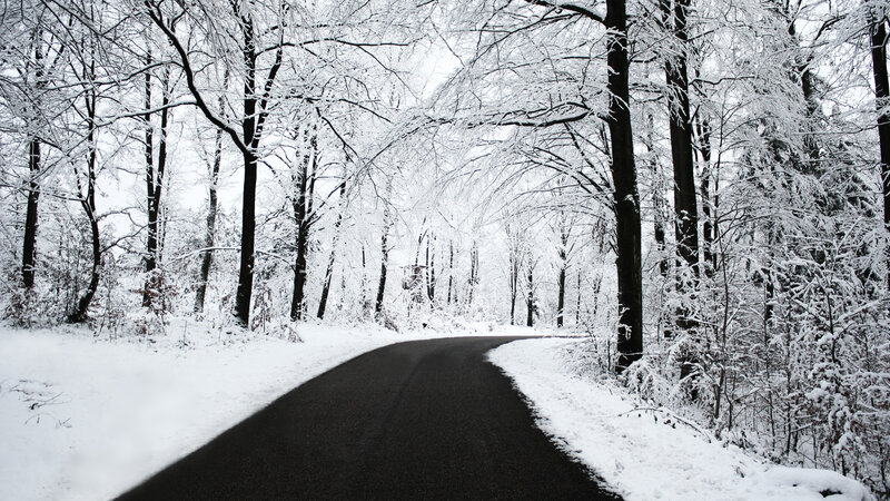 snowy road in winter forest