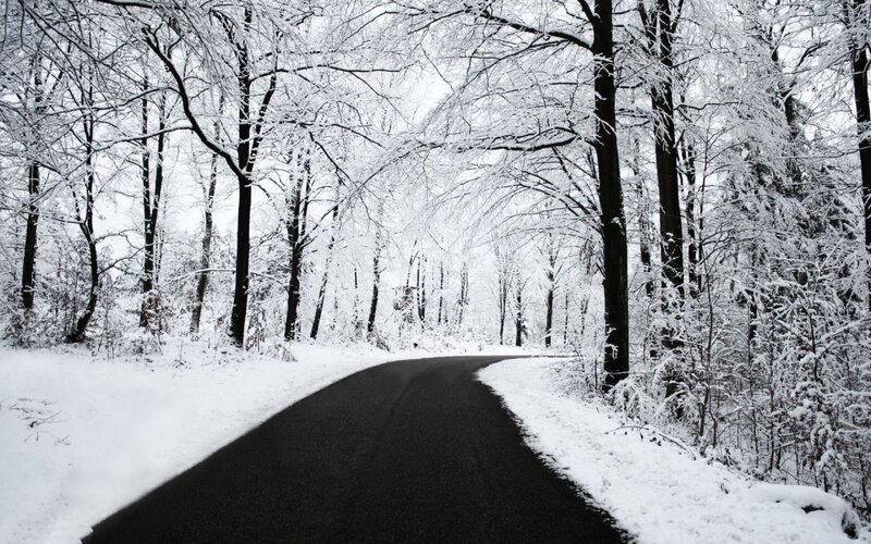 snowy road in winter forest