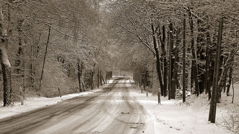 Snowy road in winter forest
