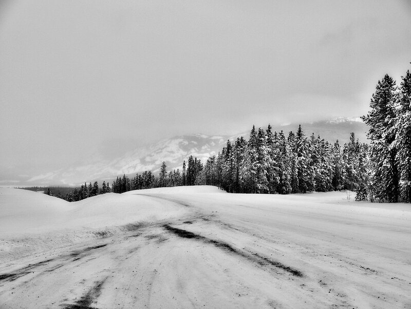 Snowy road in winter landscape