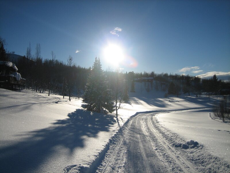 Snowy road in winter landscape