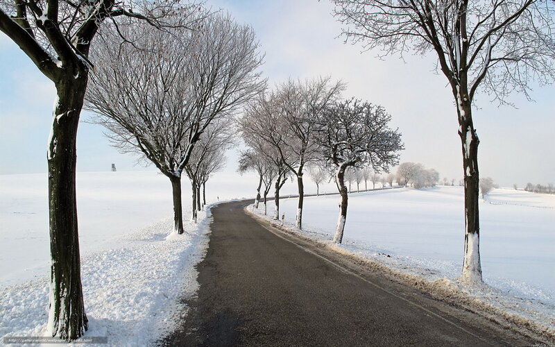 Snowy Road in Winter Landscape
